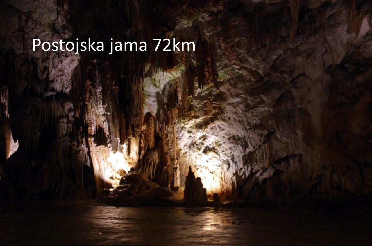 Yellow Submarine Lucija Dış mekan fotoğraf