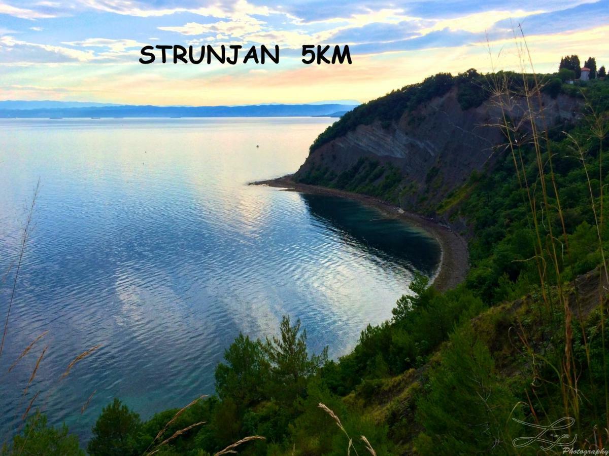 Yellow Submarine Lucija Dış mekan fotoğraf
